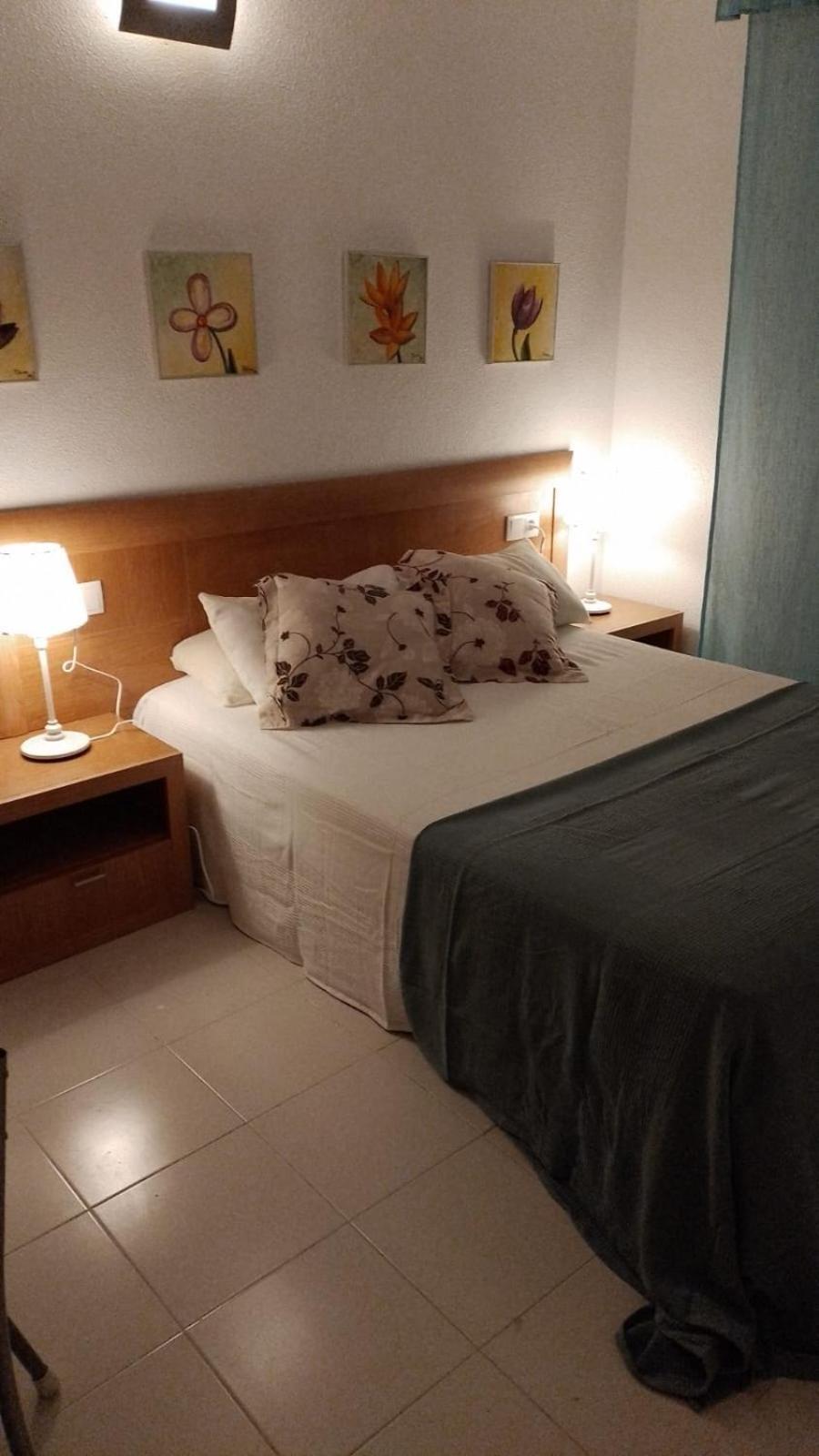 Apartamneto Vicente Blasco Ibanez Apartment Торевиеха Екстериор снимка